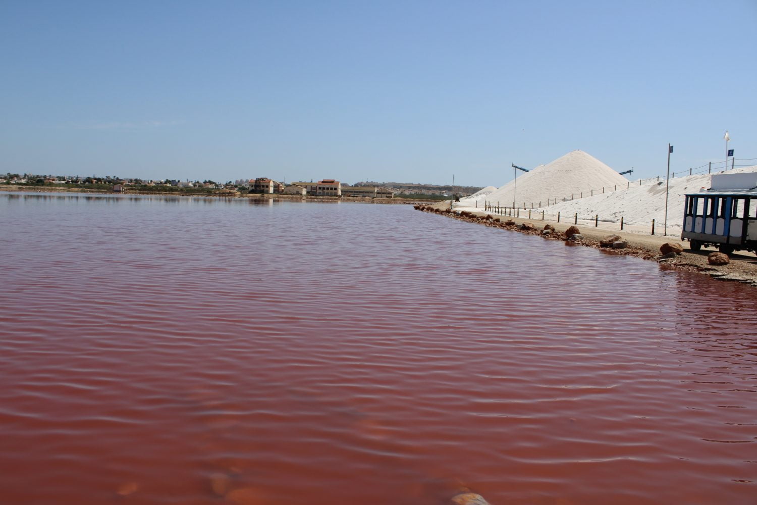 Pink Lake