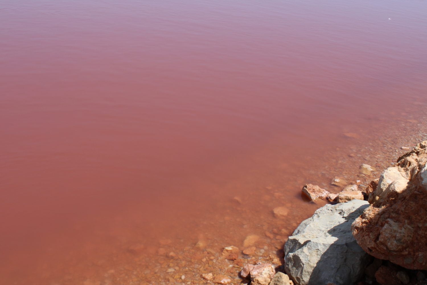 Pink Lake